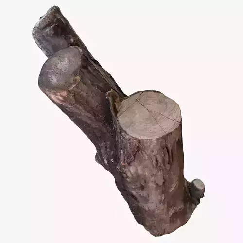 Logs model tree stump Low-poly 3D model