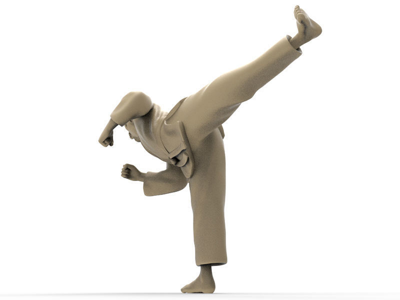 Tiger Back Kick 3D print model_1