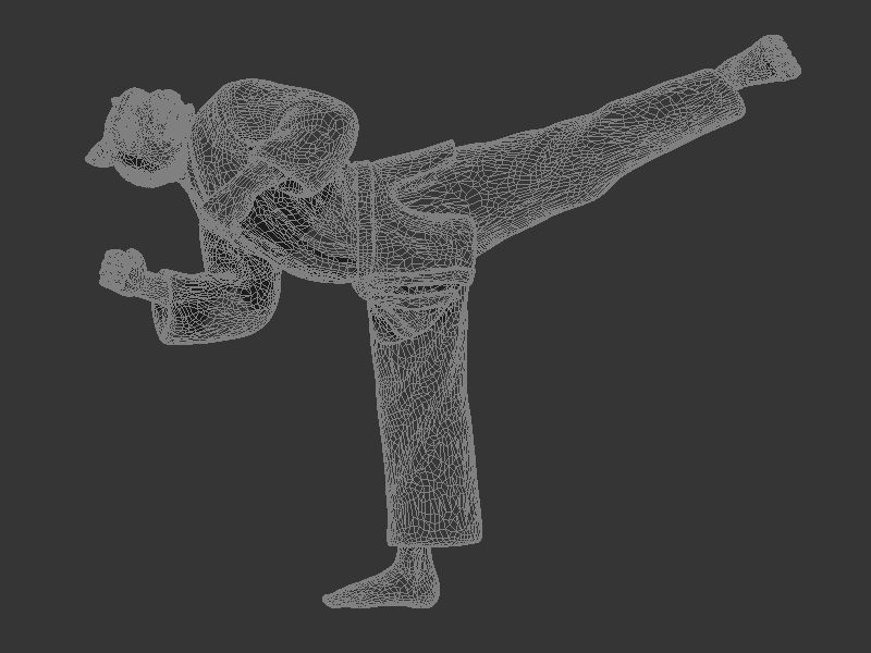 Tiger Back Kick 3D print model_9