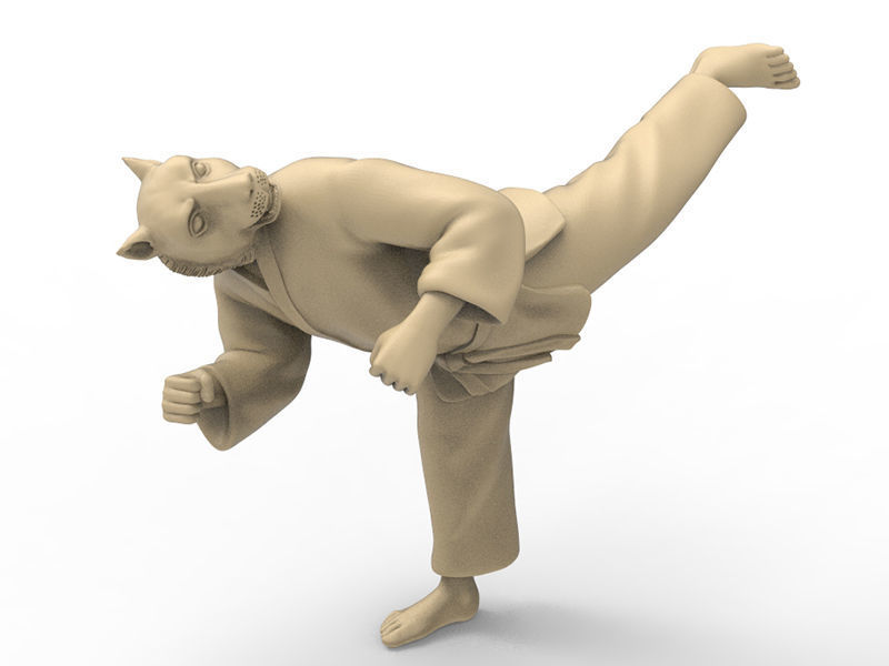 Tiger Back Kick 3D print model_6