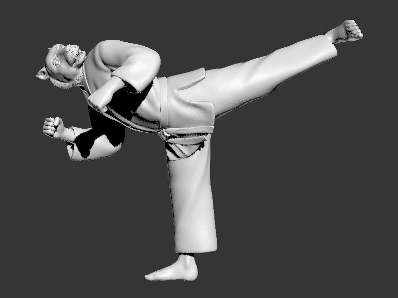 Tiger Back Kick 3D print model_7