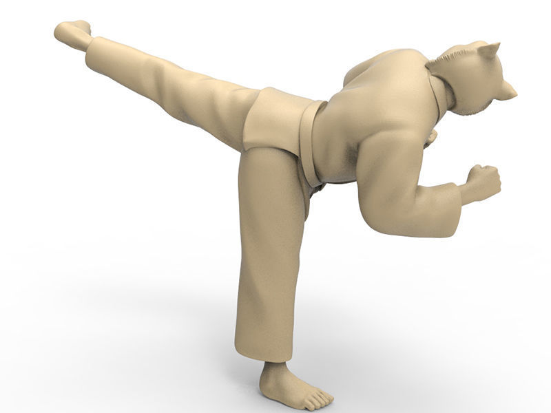 Tiger Back Kick 3D print model_3