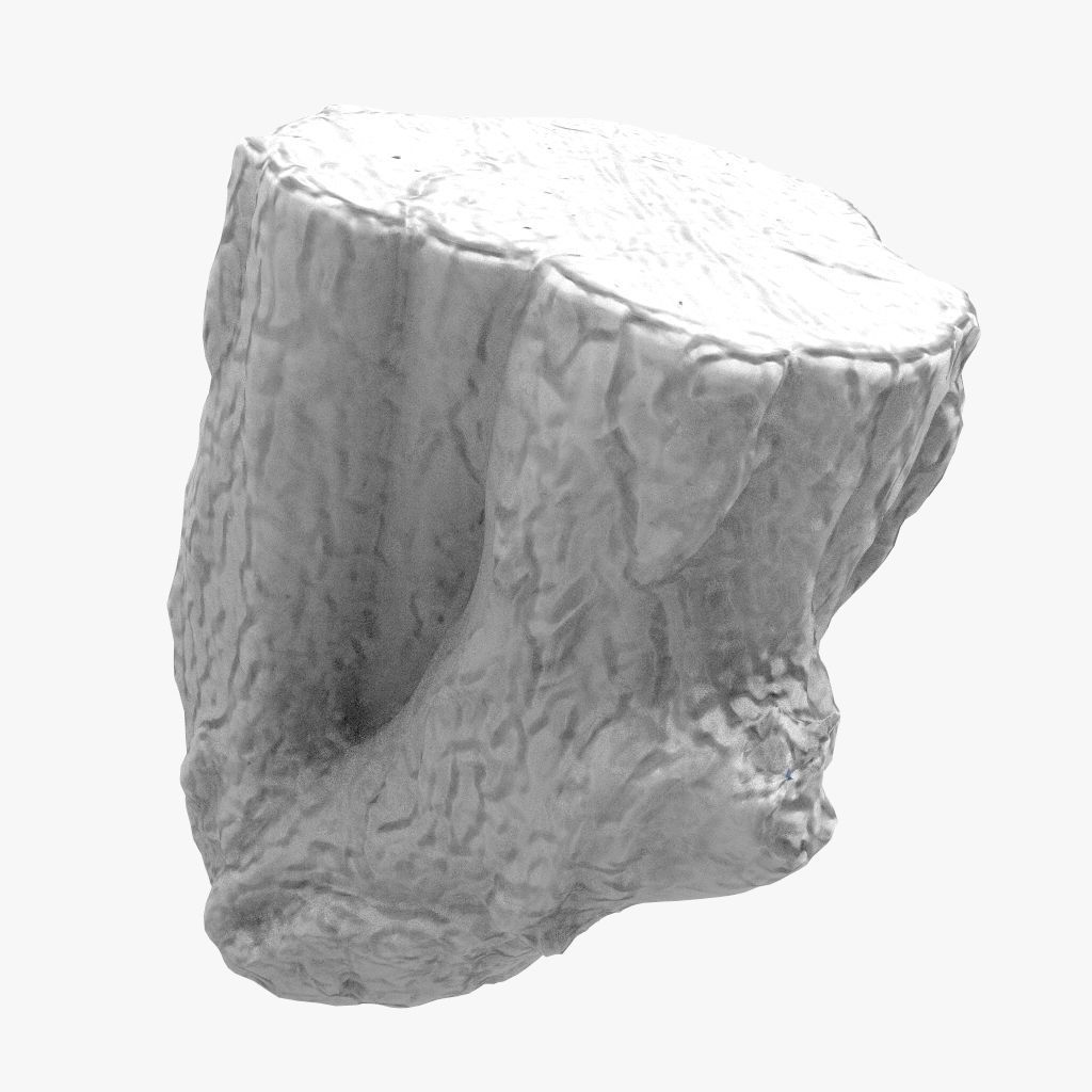 Round Log 3D Low-poly 3D model_8