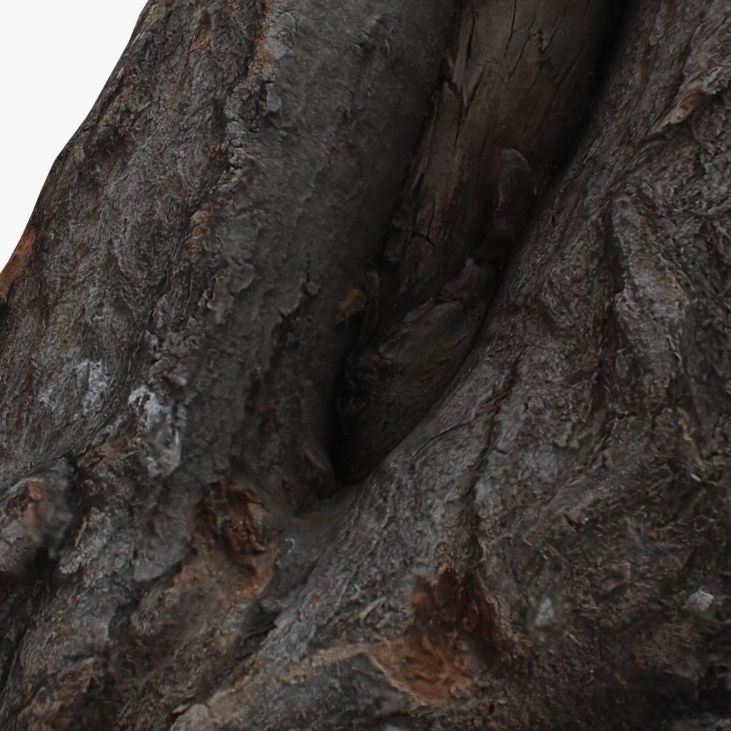 Round Log 3D Low-poly 3D model_7