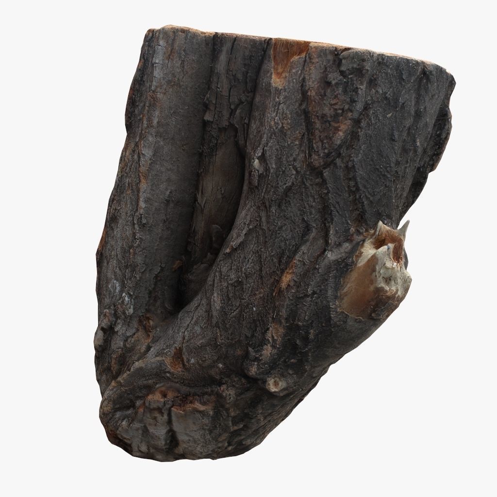 Round Log 3D Low-poly 3D model_4