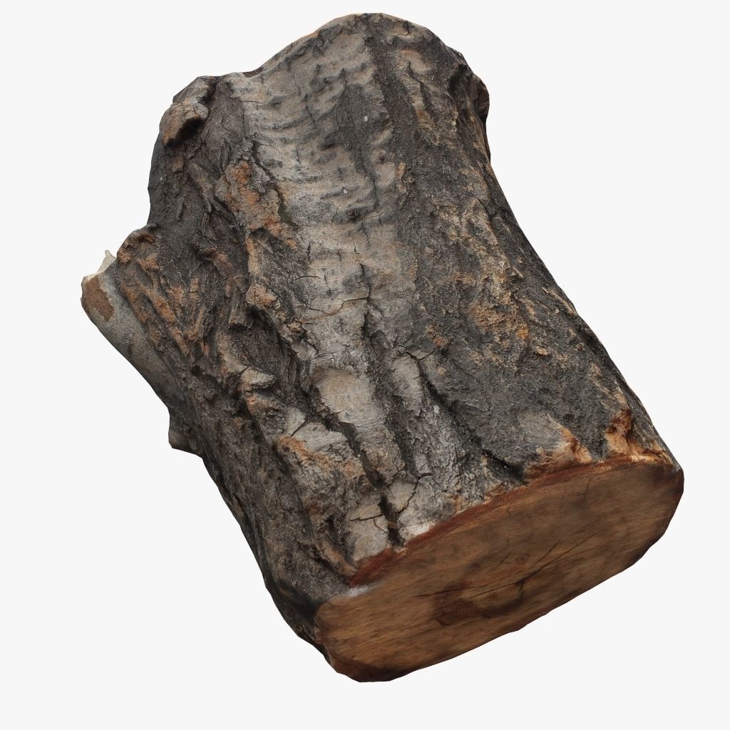 Round Log 3D Low-poly 3D model_5