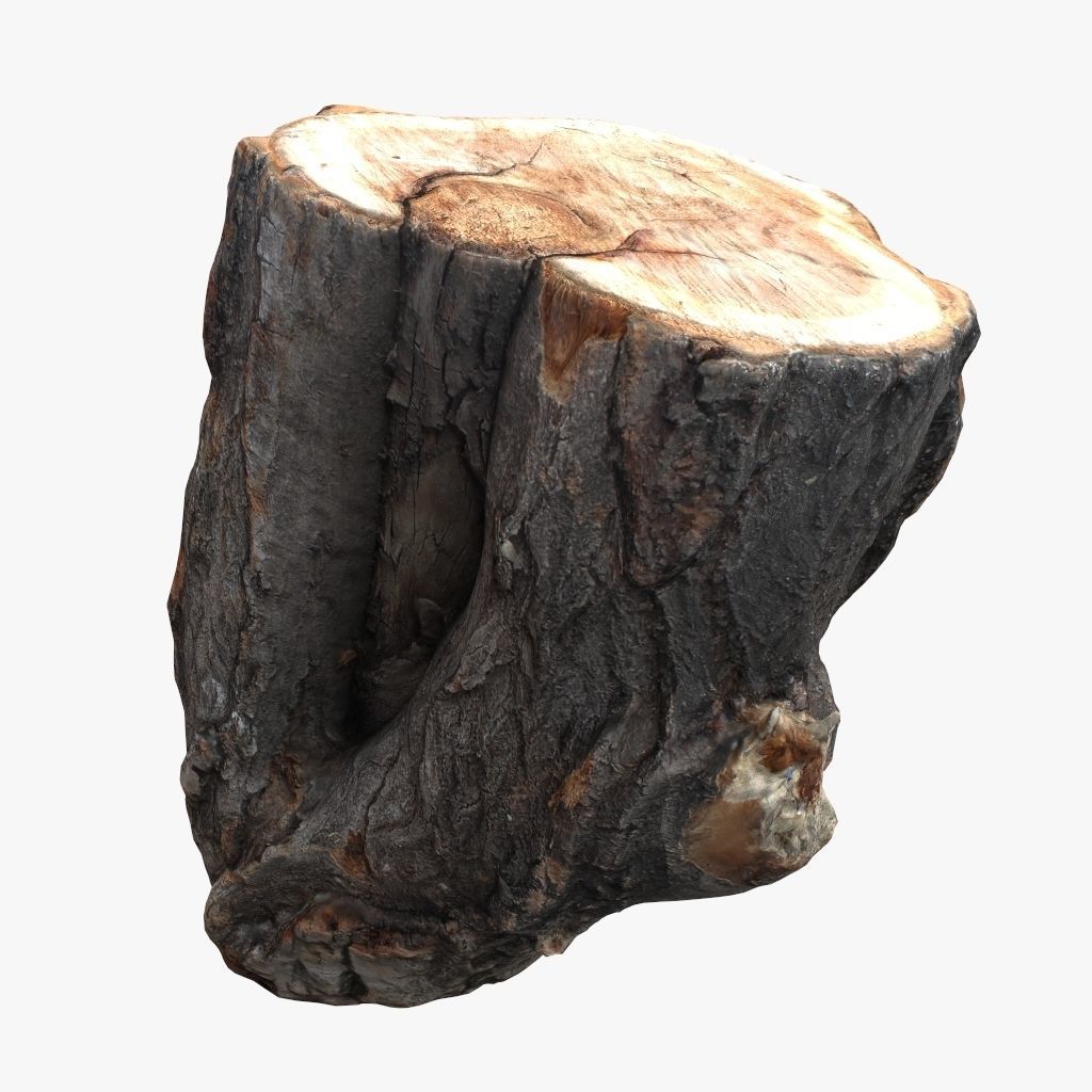 Round Log 3D Low-poly 3D model_9