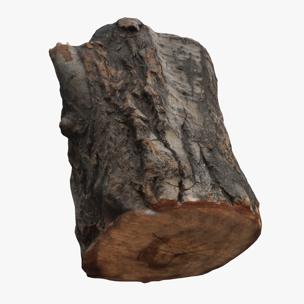 Round Log 3D Low-poly 3D model_3