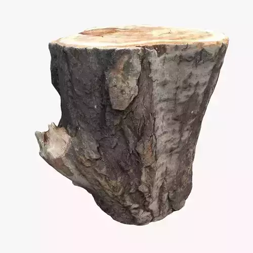 Round Log 3D