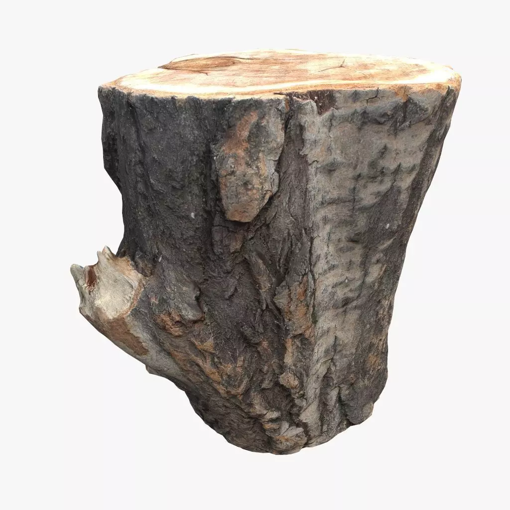 Round Log 3D Low-poly 3D model_0