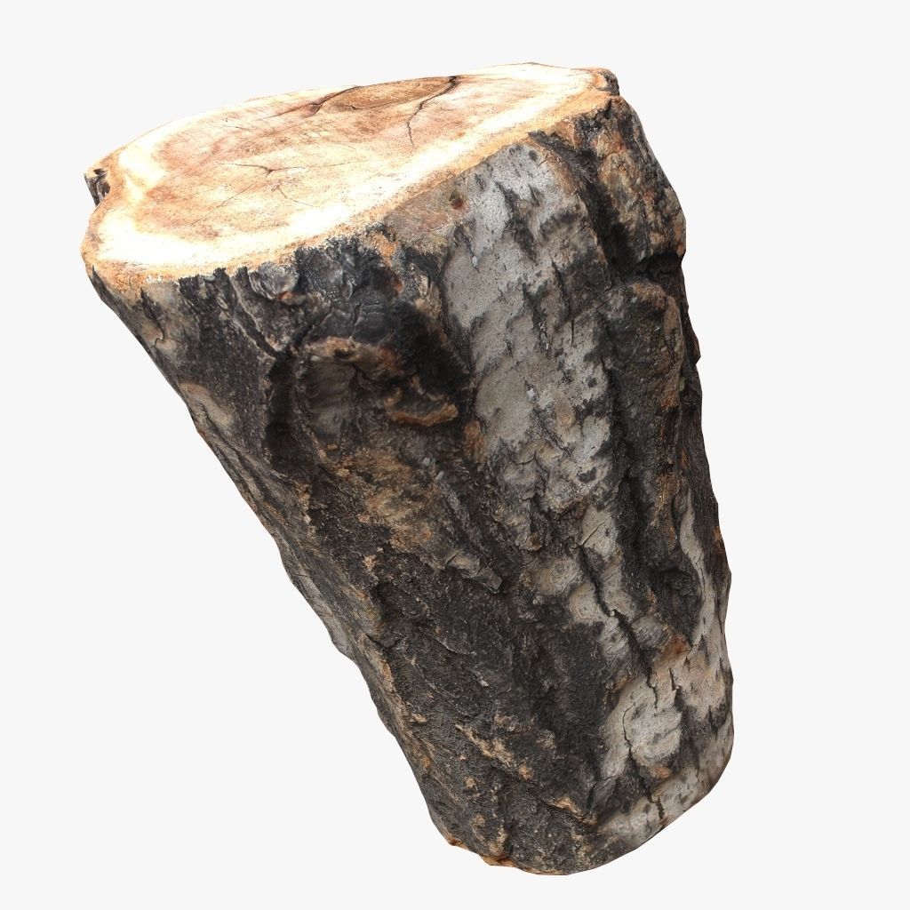 Round Log 3D Low-poly 3D model_2