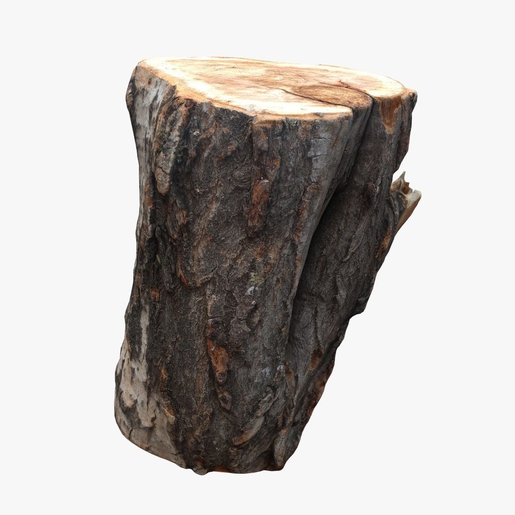 Round Log 3D Low-poly 3D model_1