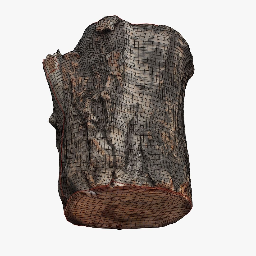 Round Log 3D Low-poly 3D model_11