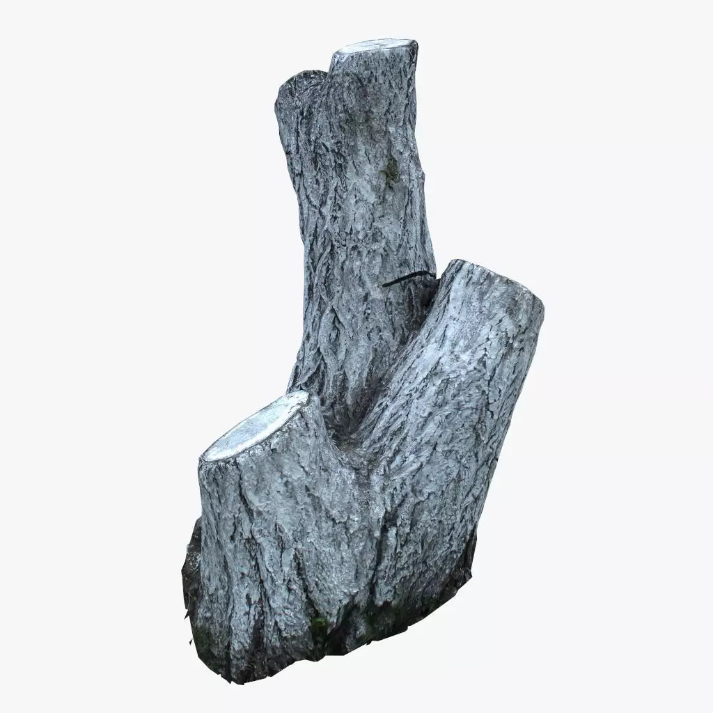 Painted tree trunk 3D model Low-poly 3D model_0