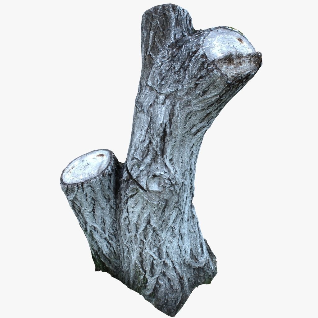 Painted tree trunk 3D model Low-poly 3D model_2