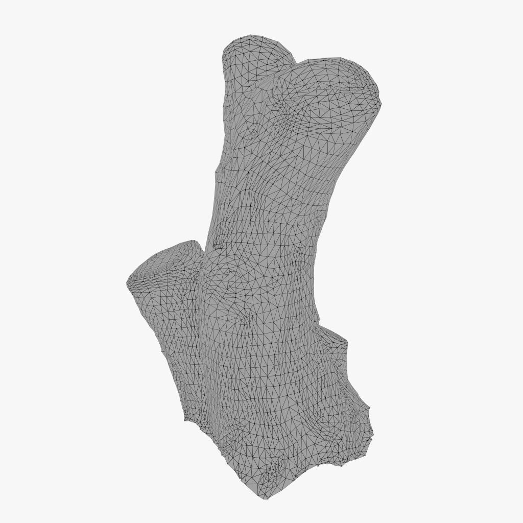 Painted tree trunk 3D model Low-poly 3D model_6