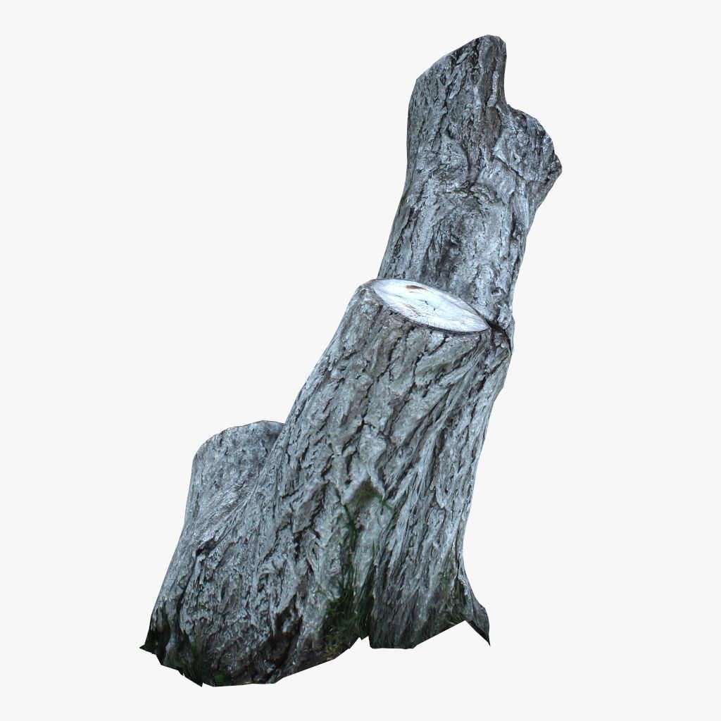 Painted tree trunk 3D model Low-poly 3D model_3