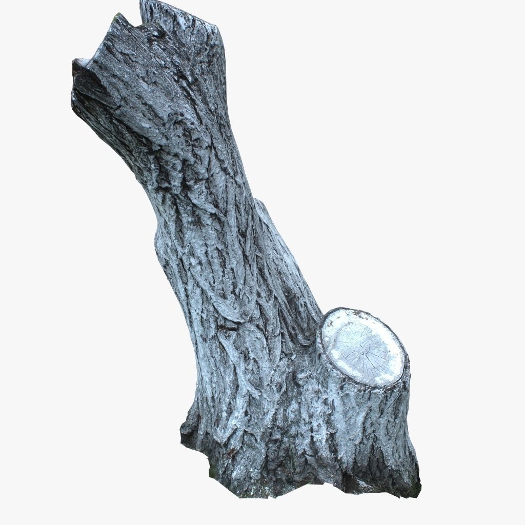 Painted tree trunk 3D model Low-poly 3D model_1