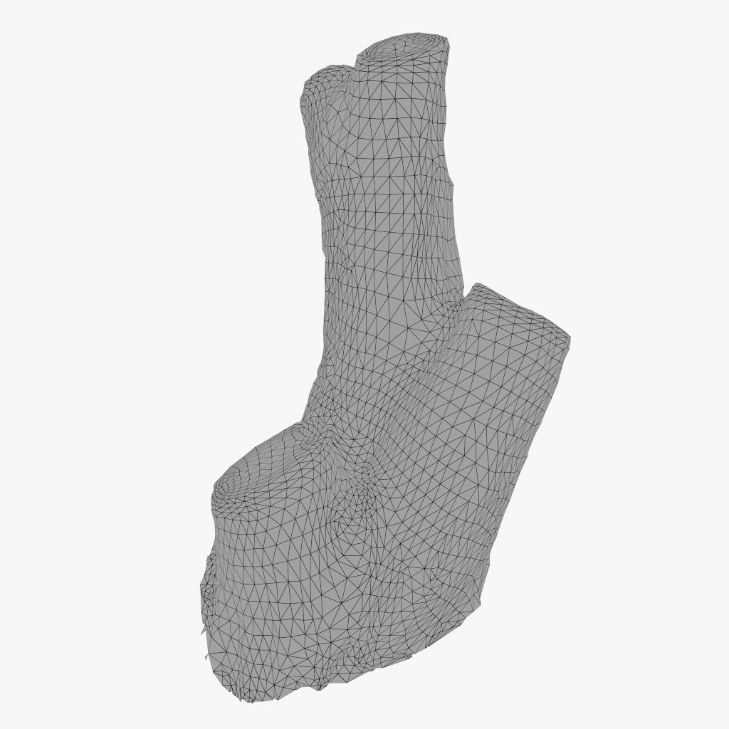 Painted tree trunk 3D model Low-poly 3D model_5