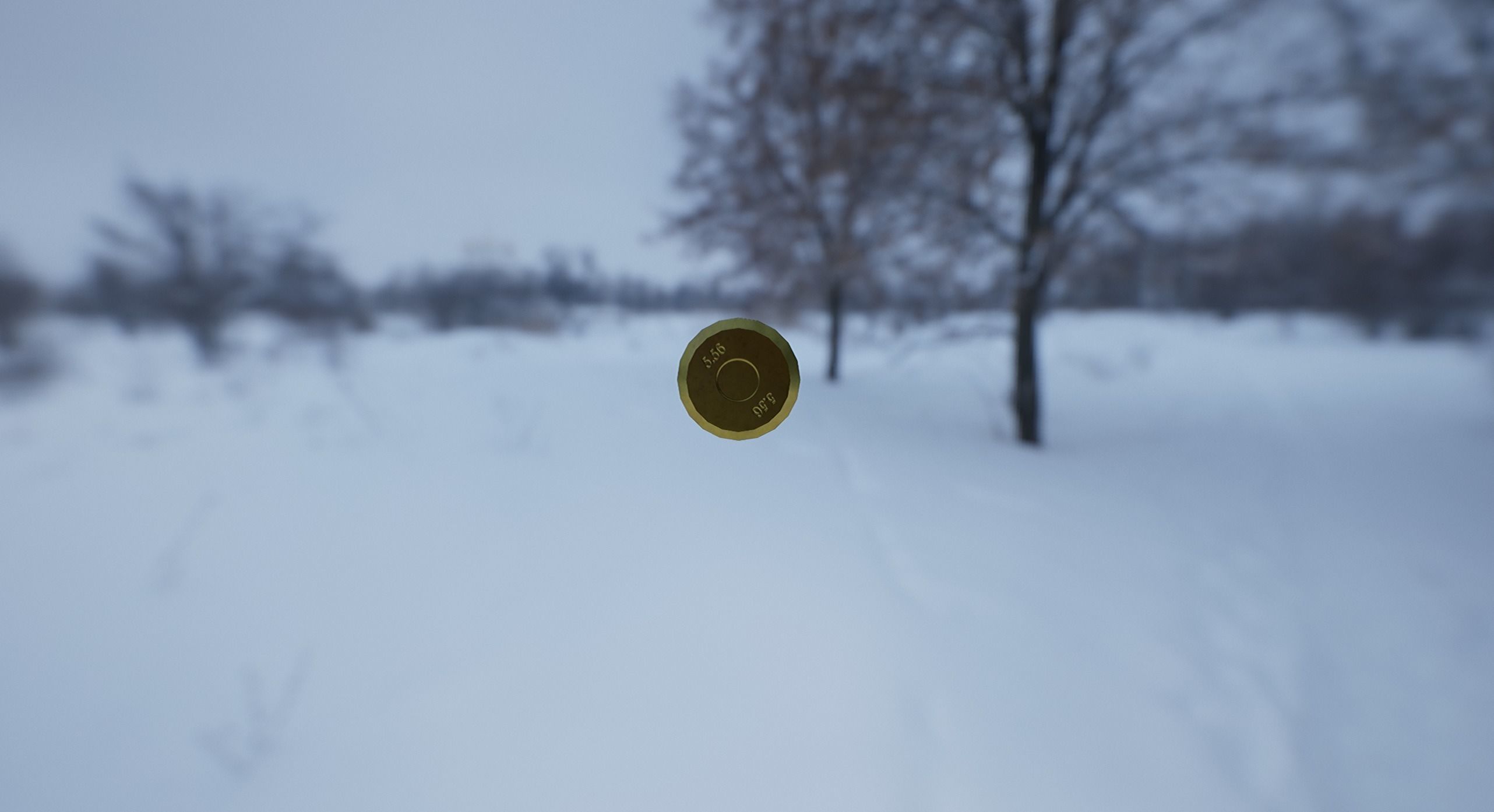 AR15 PBR ar - rifle in snow Low-poly 3D model_13