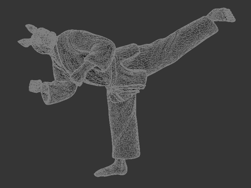 Rabbit Back Kick 3D print model_8