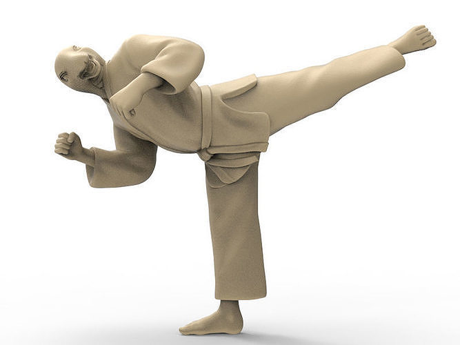 Snake Back Kick 3D print model