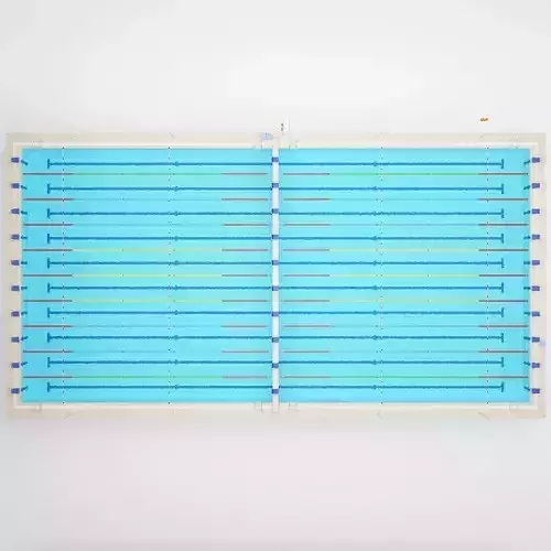 Swimming Pool - Olympic 3D model