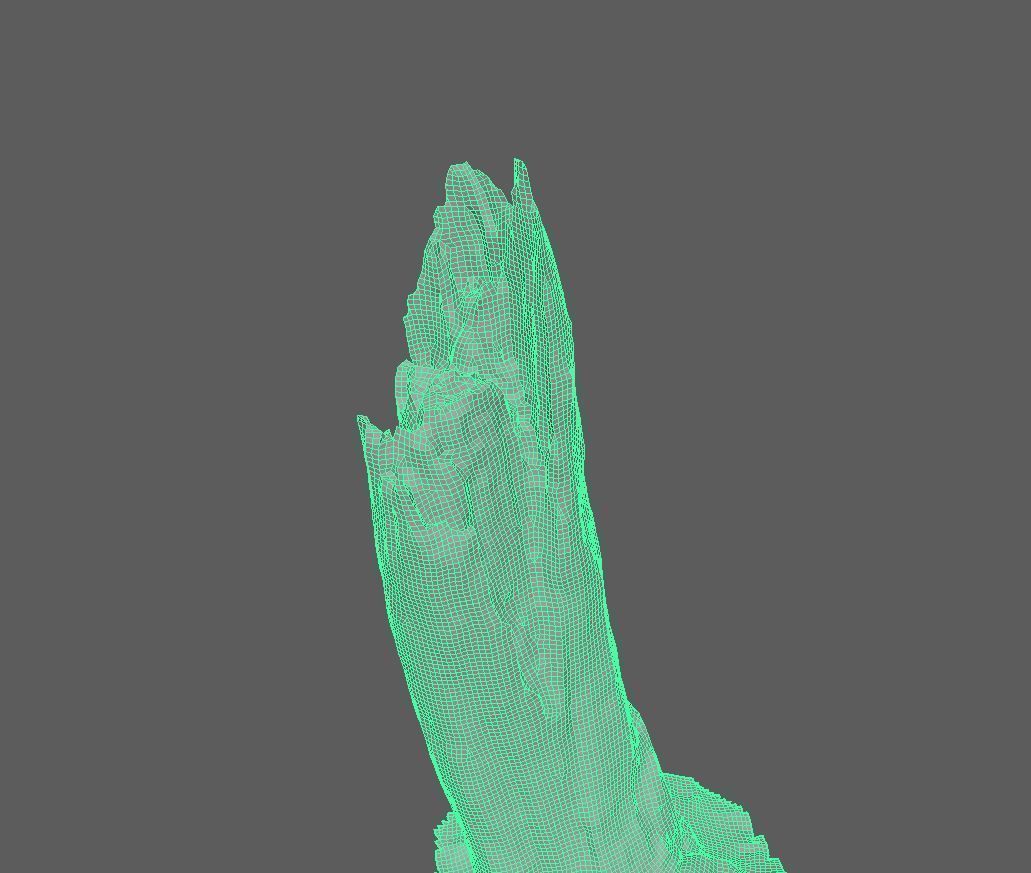 Root - photogrammetry 3D model_1