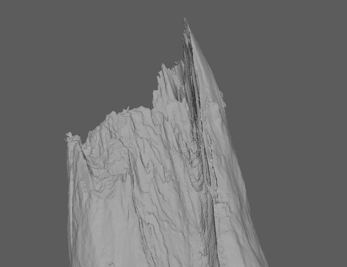 Root - photogrammetry 3D model_10