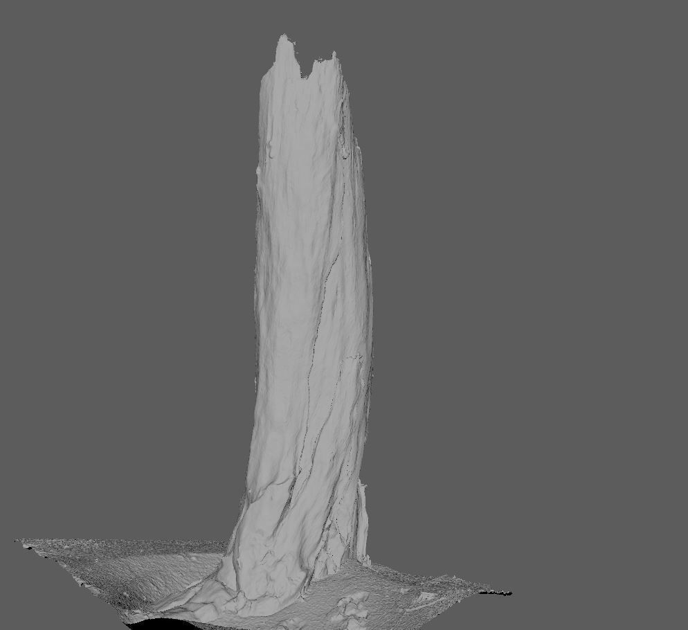 Root - photogrammetry 3D model_9