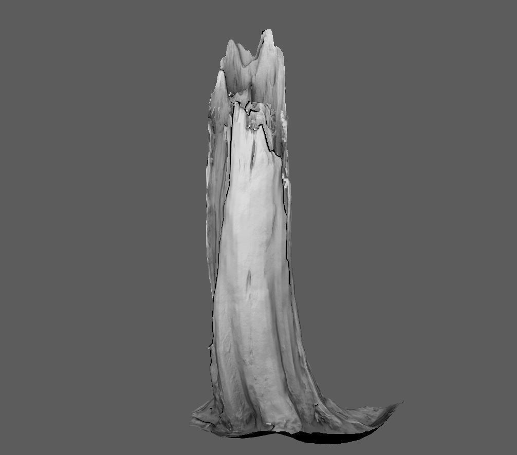 Root - photogrammetry 3D model_2