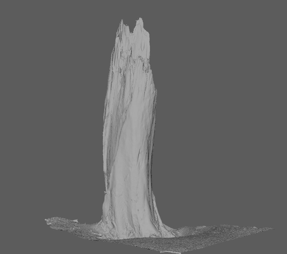 Root - photogrammetry 3D model_8