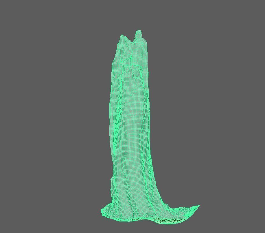 Root - photogrammetry 3D model_11