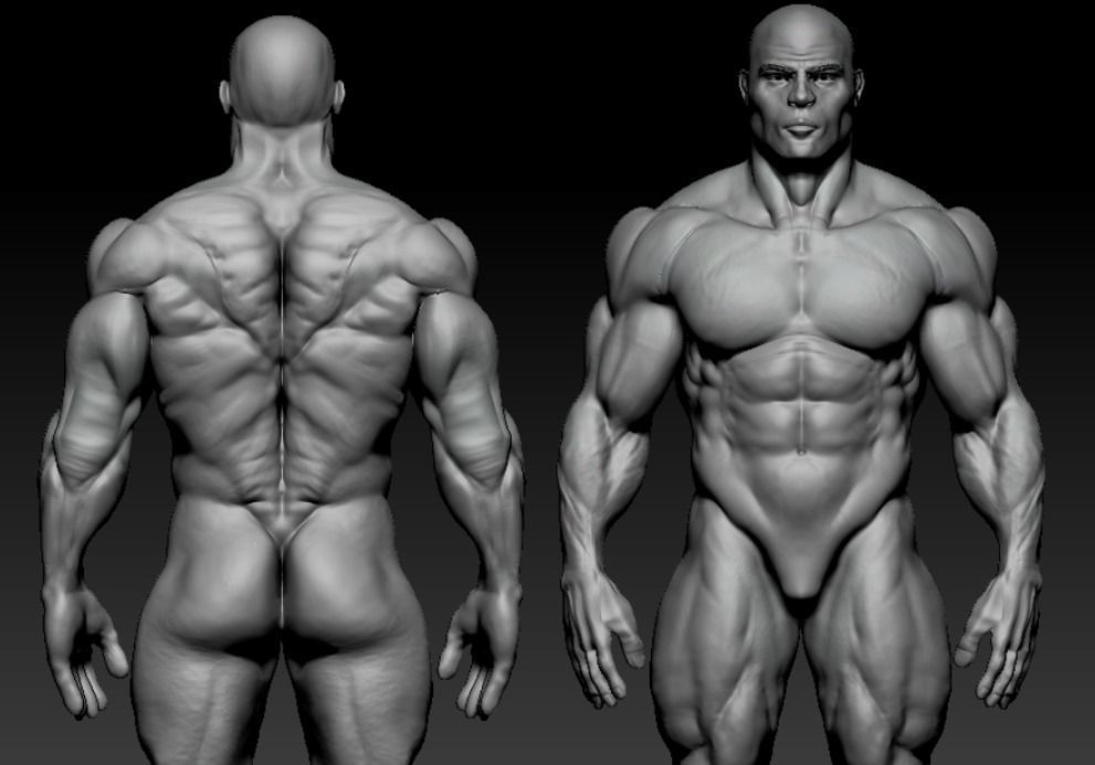 bodbuilder 4 male bodybuilder 3D model_8