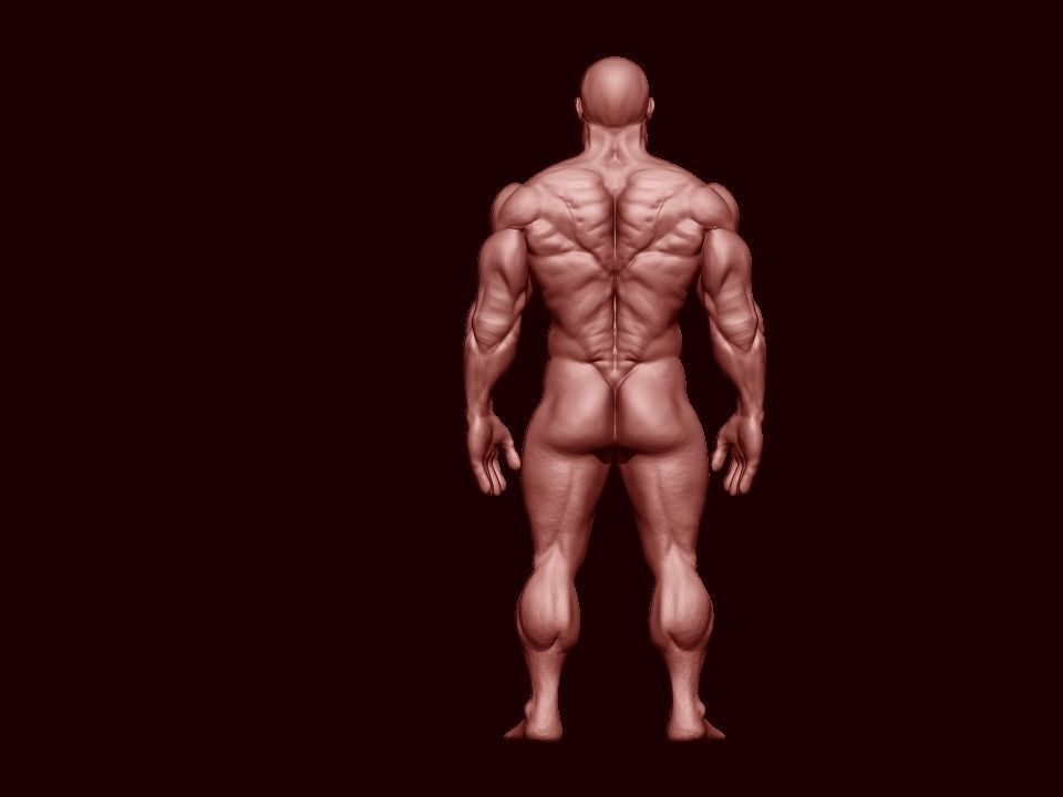bodbuilder 4 male bodybuilder 3D model_9