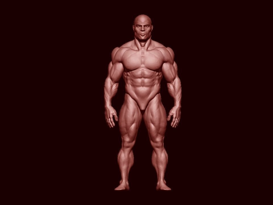 bodbuilder 4 male bodybuilder 3D model_1