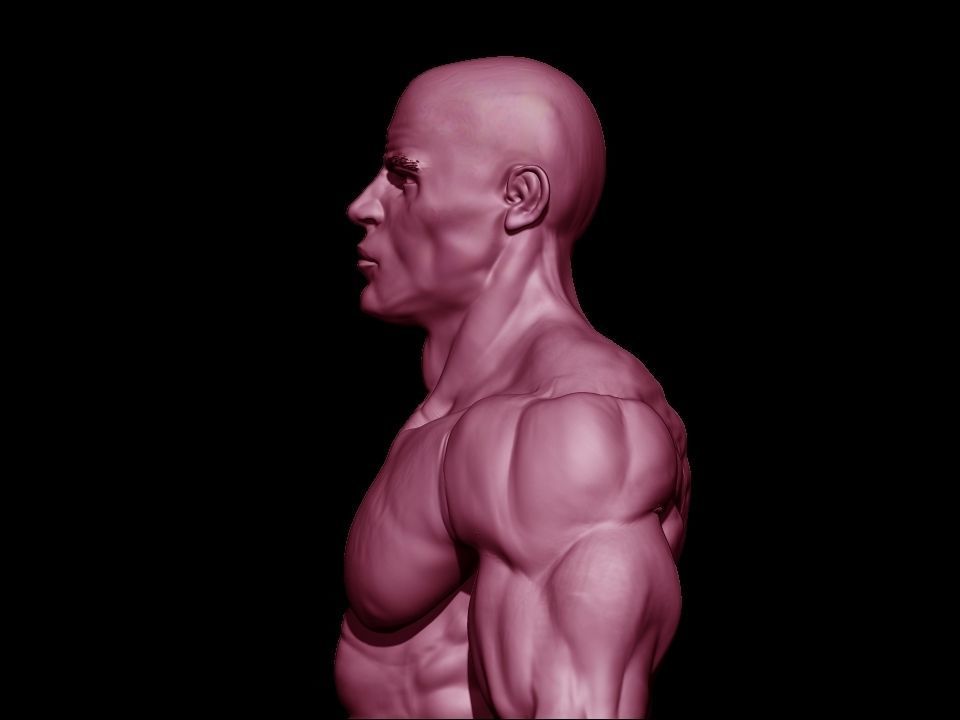 bodbuilder 4 male bodybuilder 3D model_14