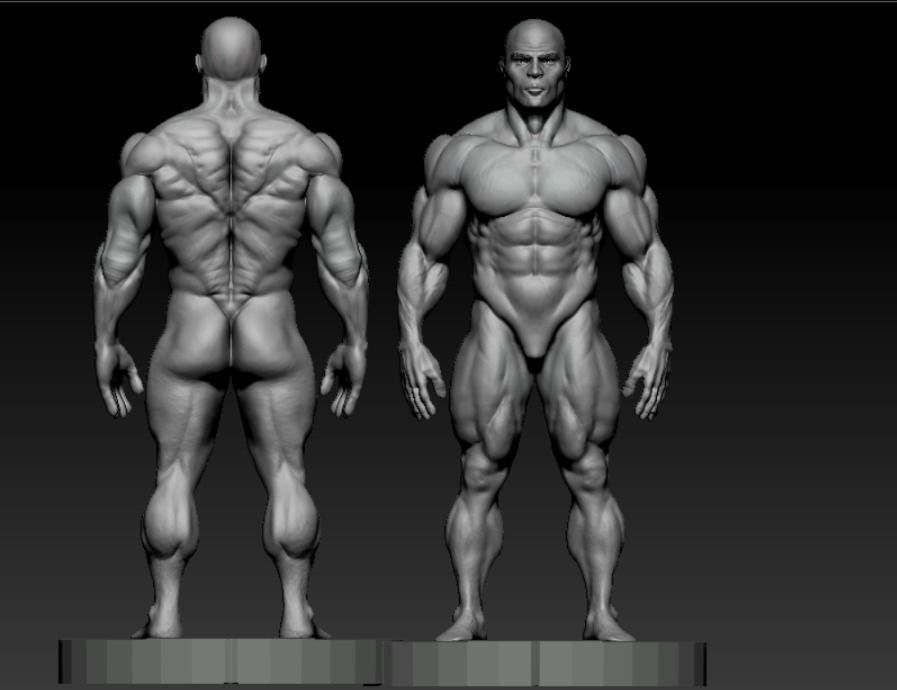 bodbuilder 4 male bodybuilder 3D model_7