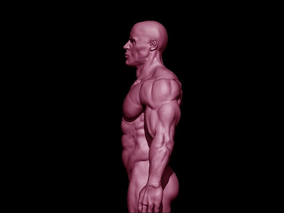 bodbuilder 4 male bodybuilder 3D model_10