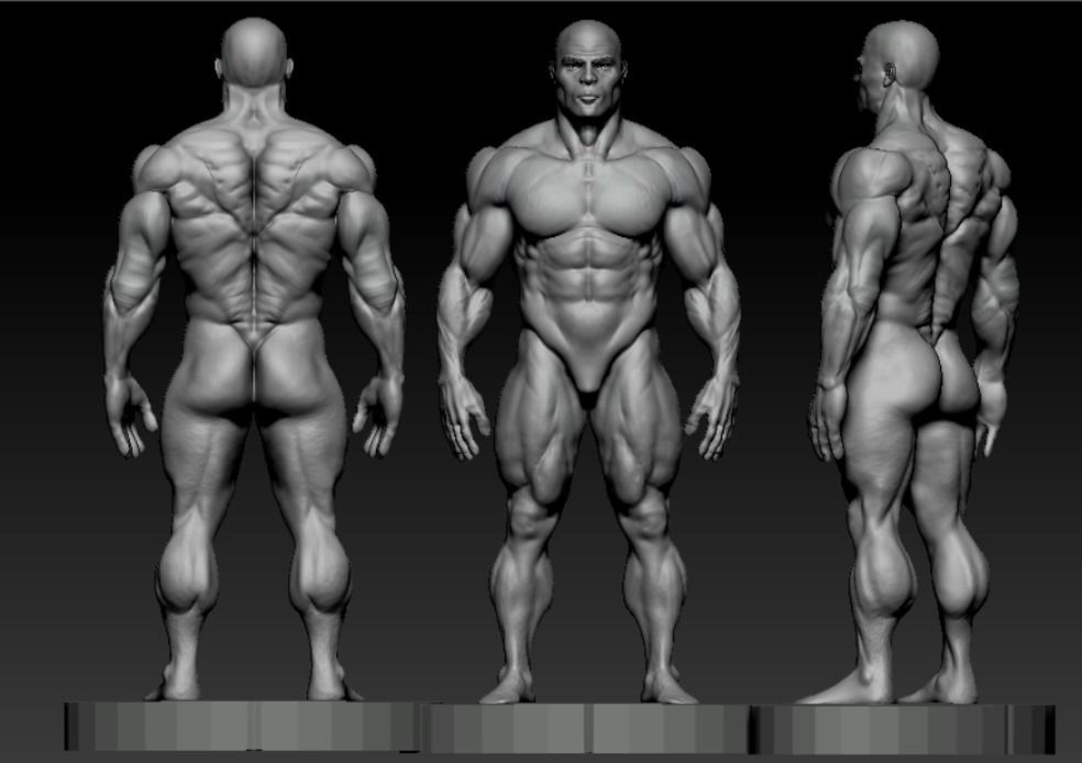bodbuilder 4 male bodybuilder 3D model_6