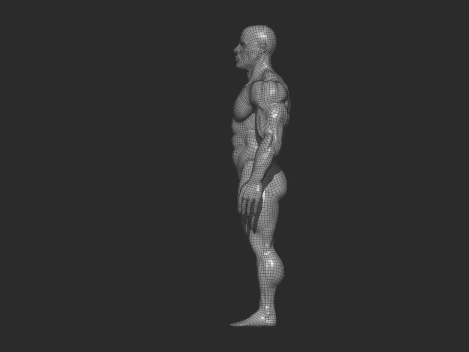 bodbuilder 4 male bodybuilder 3D model_17