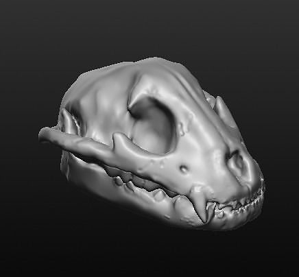 Jaguar Skull 3D print model