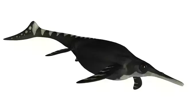 Shonisaurus Asset Pack Low-poly 3D model
