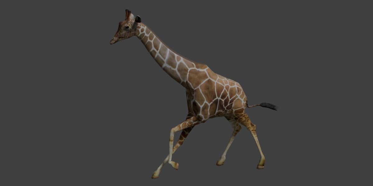 Giraffe with long legs Low-poly 3D model_7