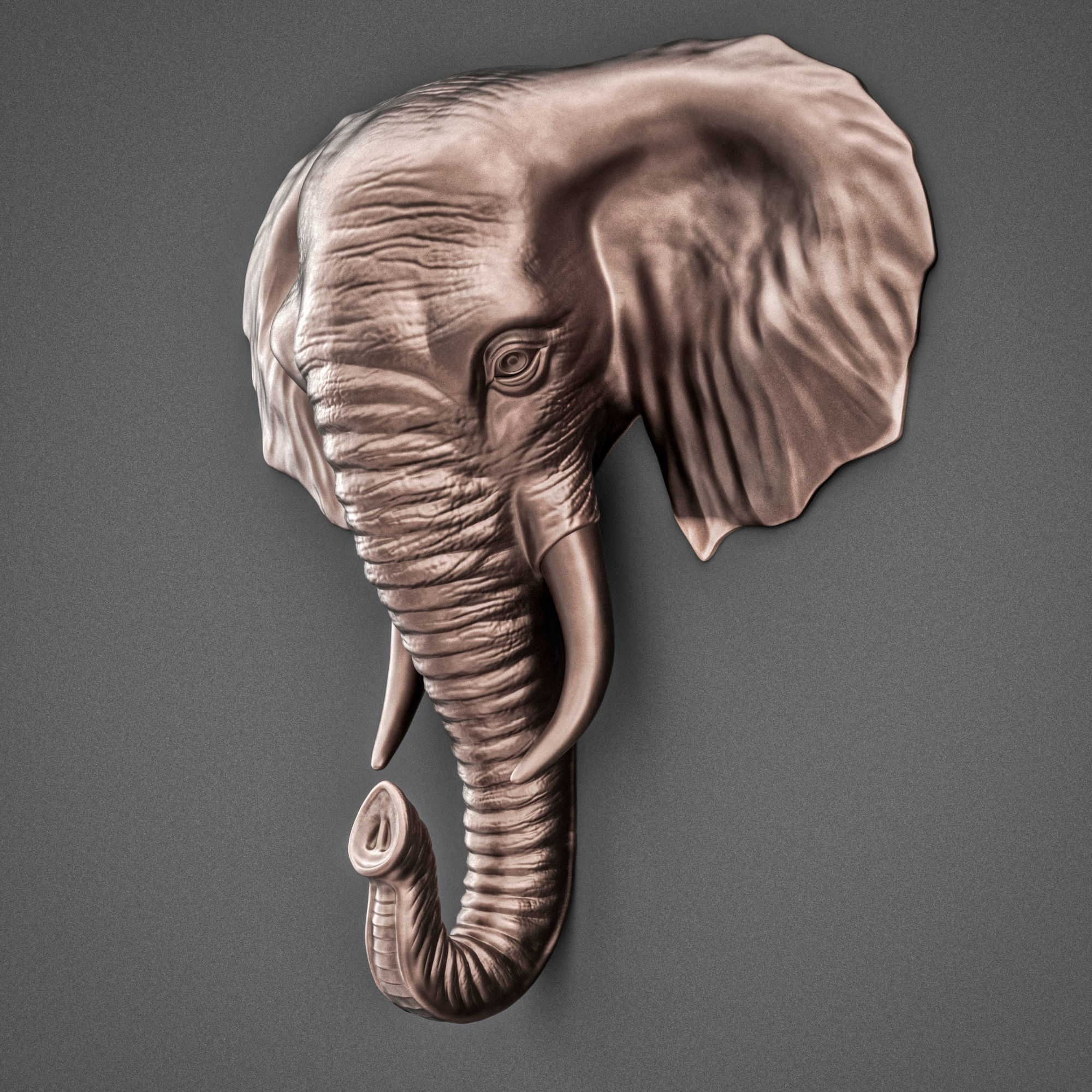 Elephant head decor 3D print model_1