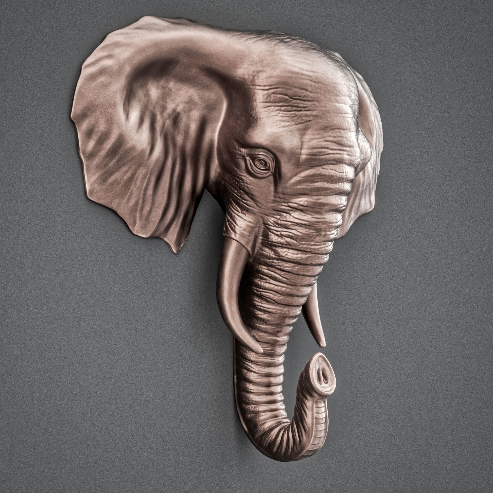Elephant head decor 3D print model_2