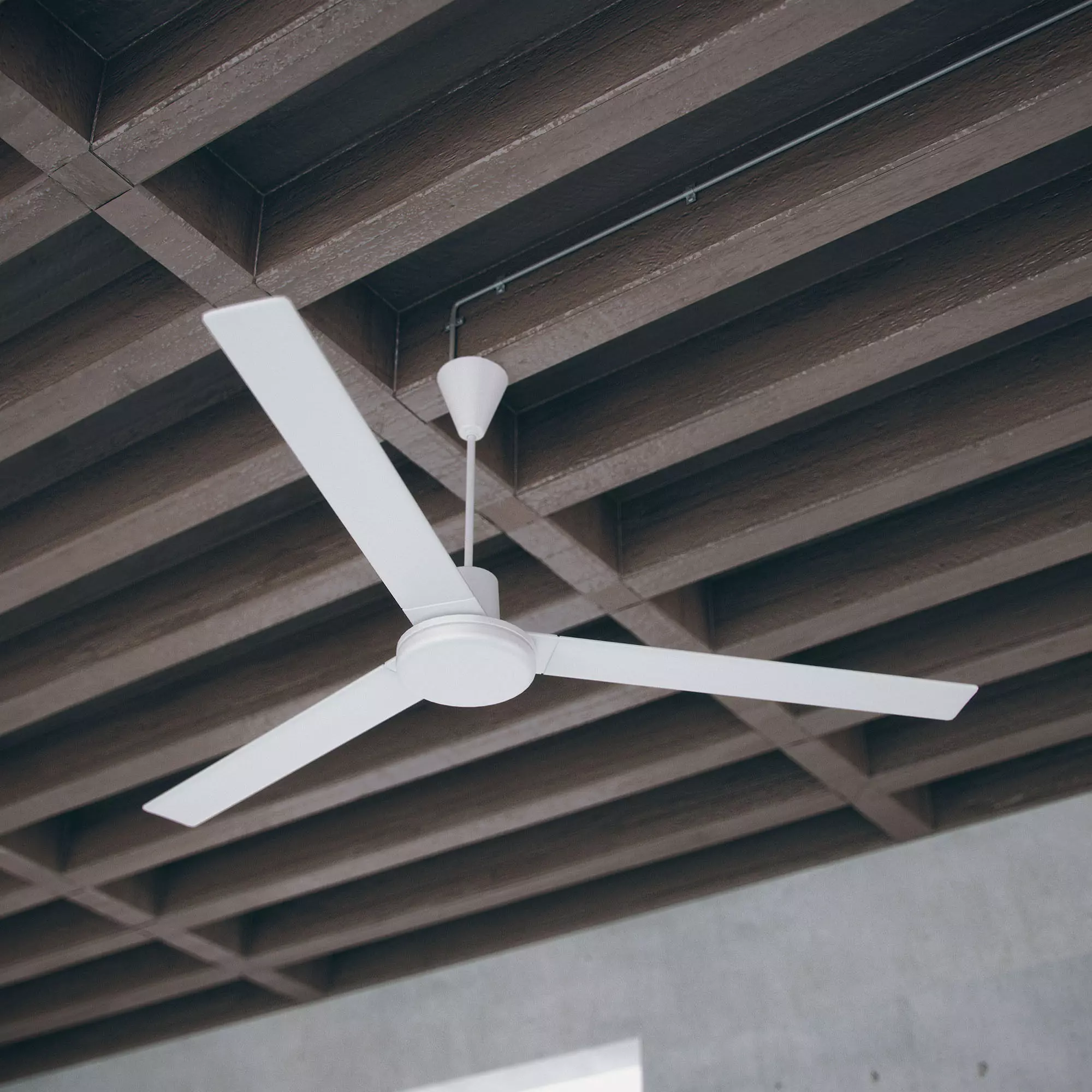 Simple Ceiling Fan Free 3D model_0