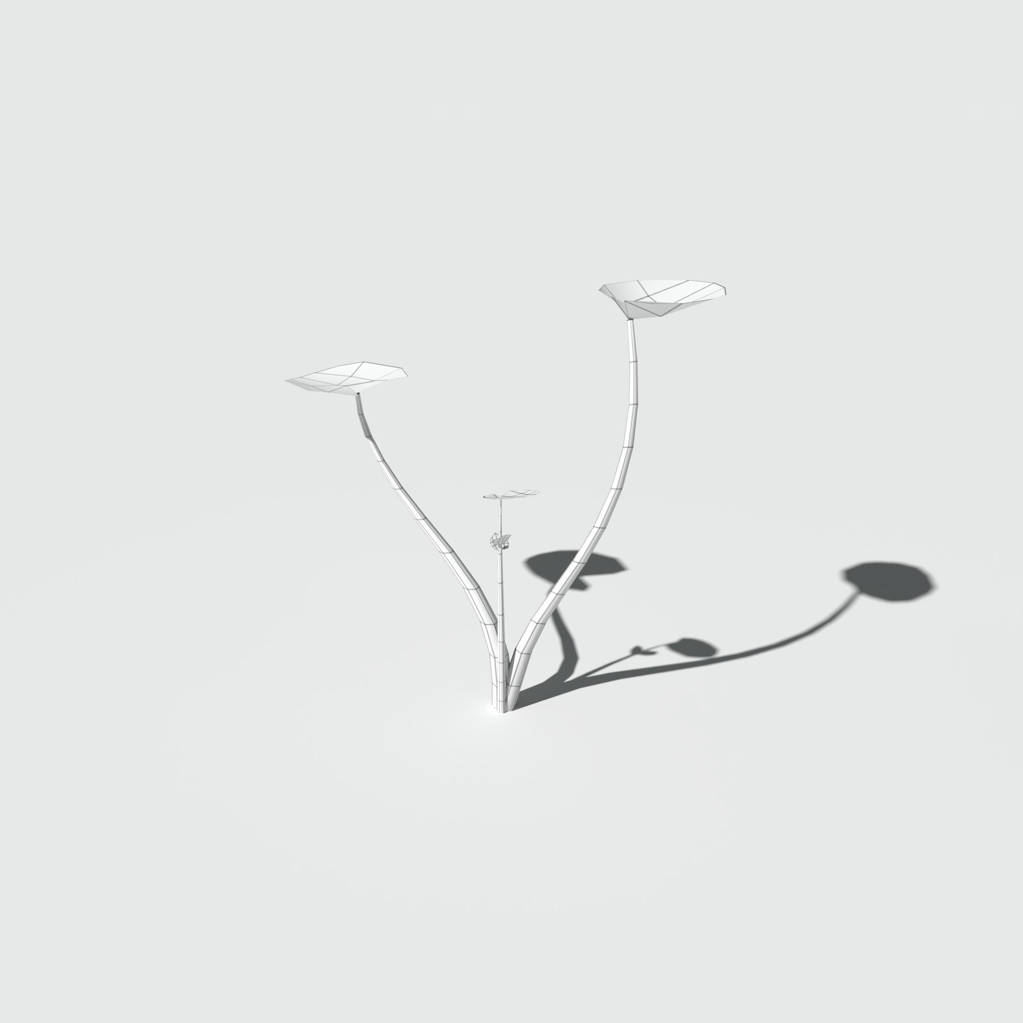 Fig Buttercup Low-poly 3D model_13