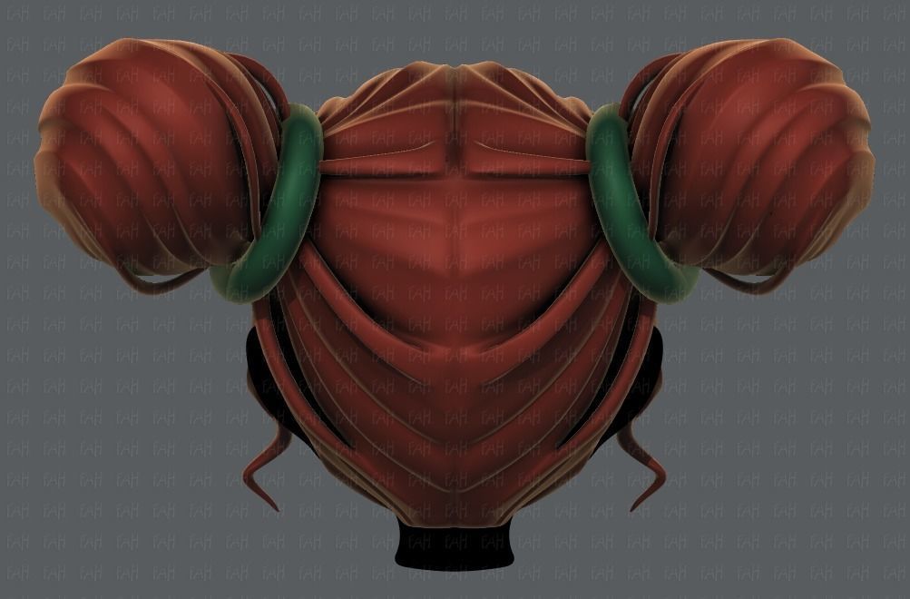 3D Hair style for girl V68 Low-poly 3D model_5