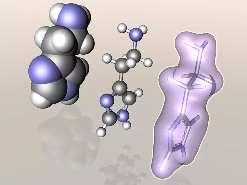 Histamine molecule 3D model